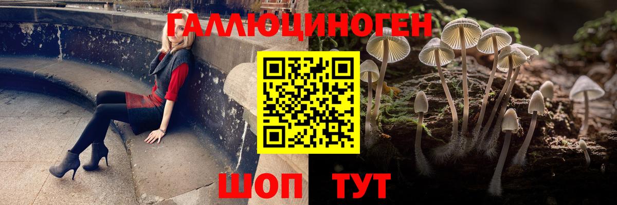 Псилоцибиновые грибы мицелий Похвистнево