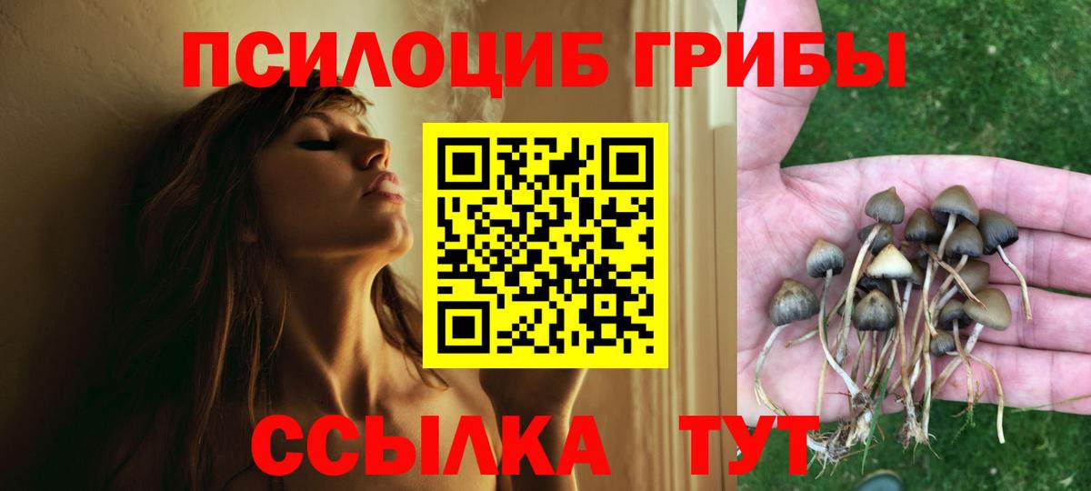 Псилоцибиновые грибы Magic Shrooms  Вход с VPN  Похвистнево 